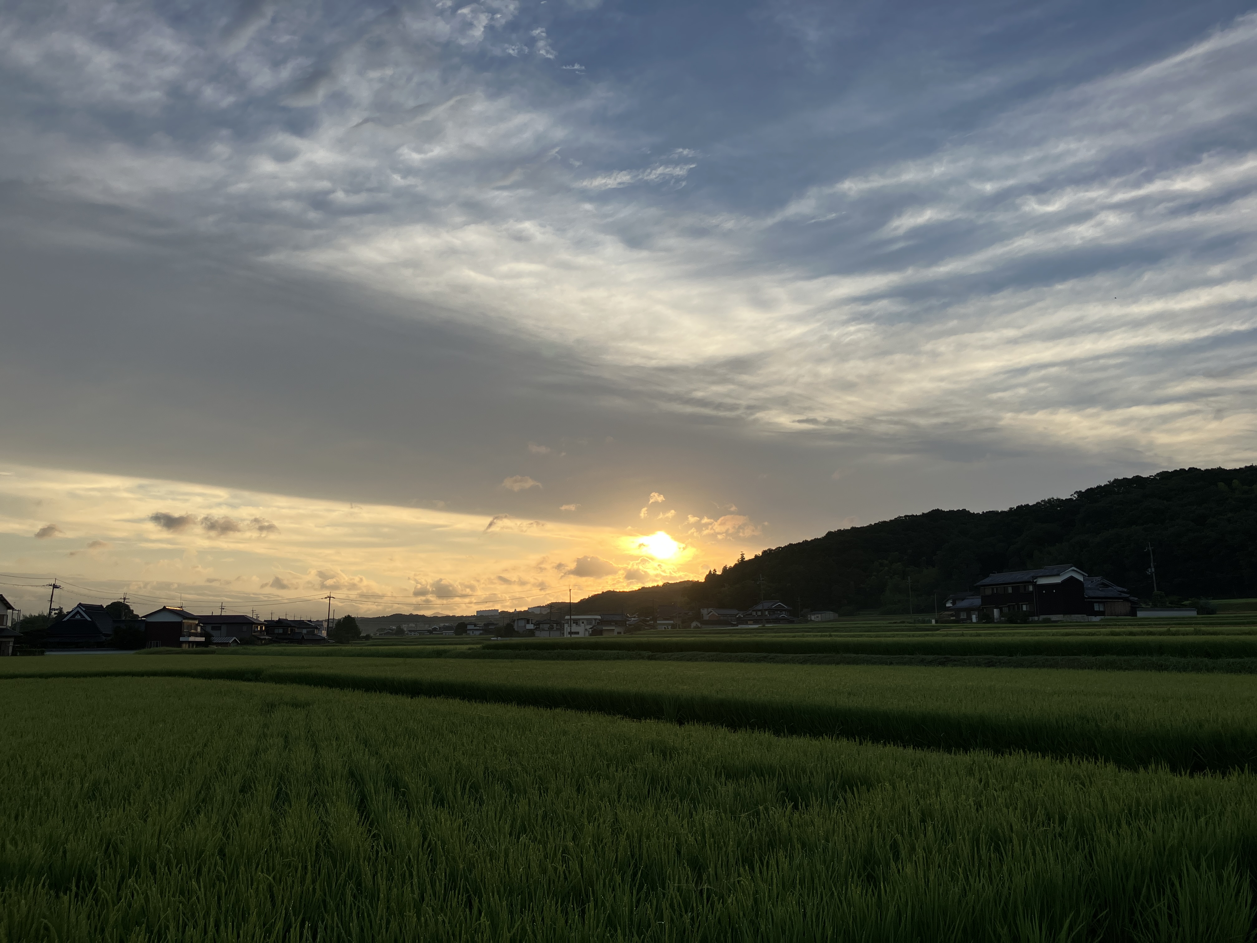 東条地域の田園風景